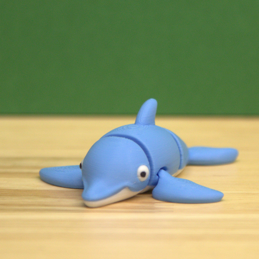 Dolphin