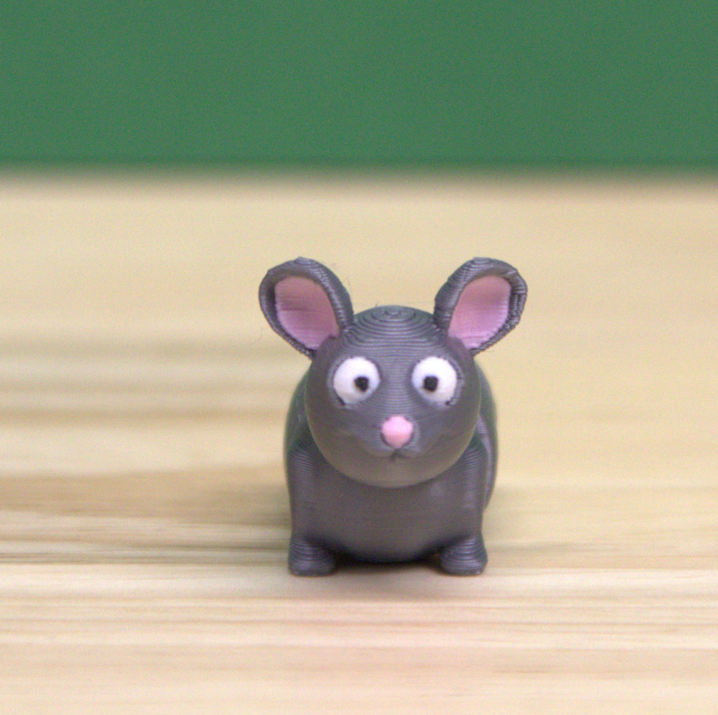 Rat