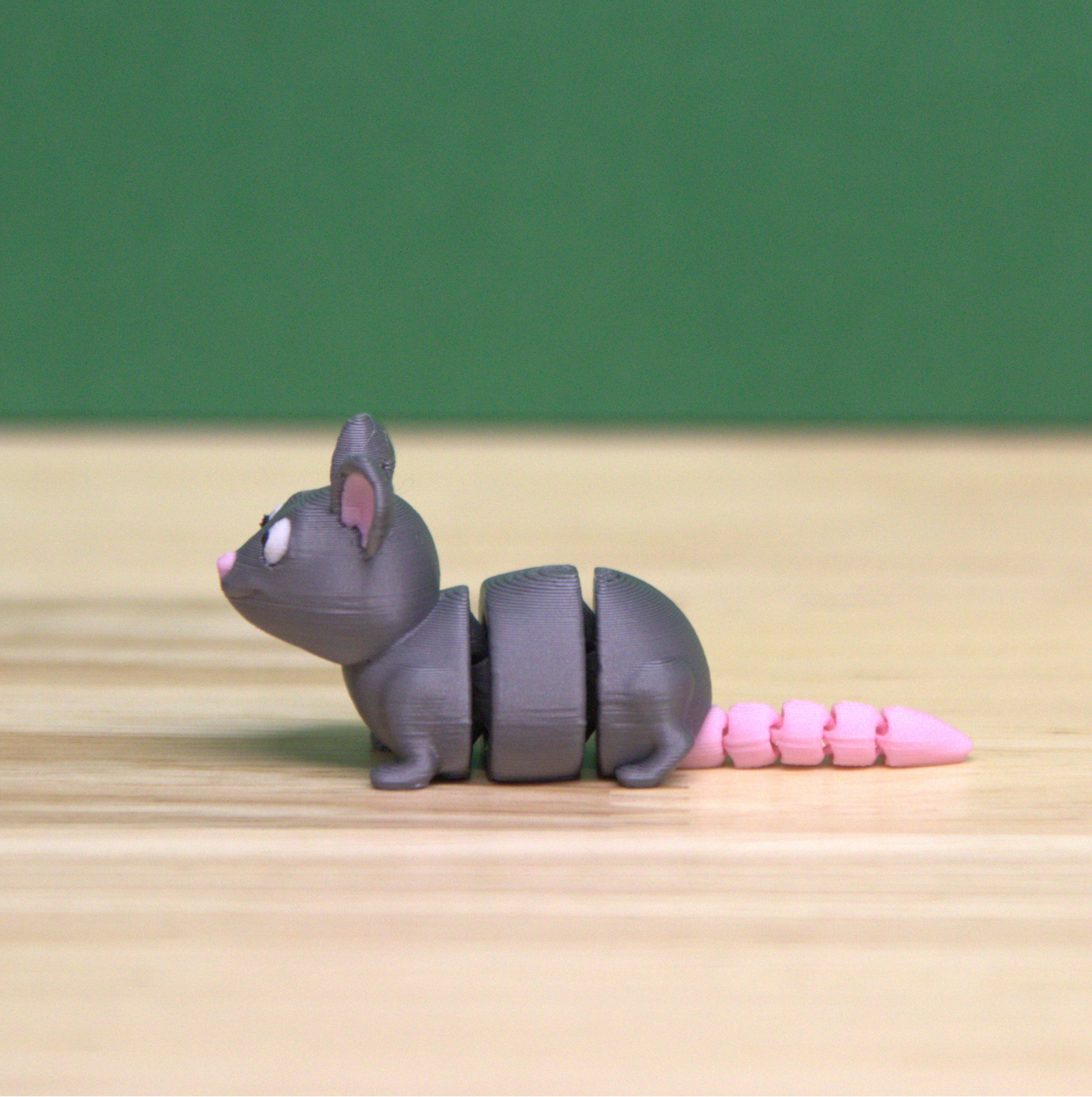 Rat