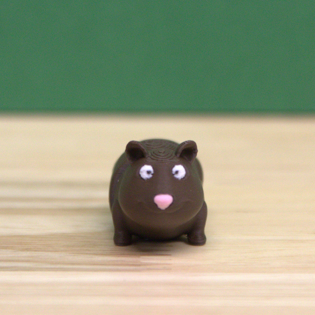 Guinea Pig