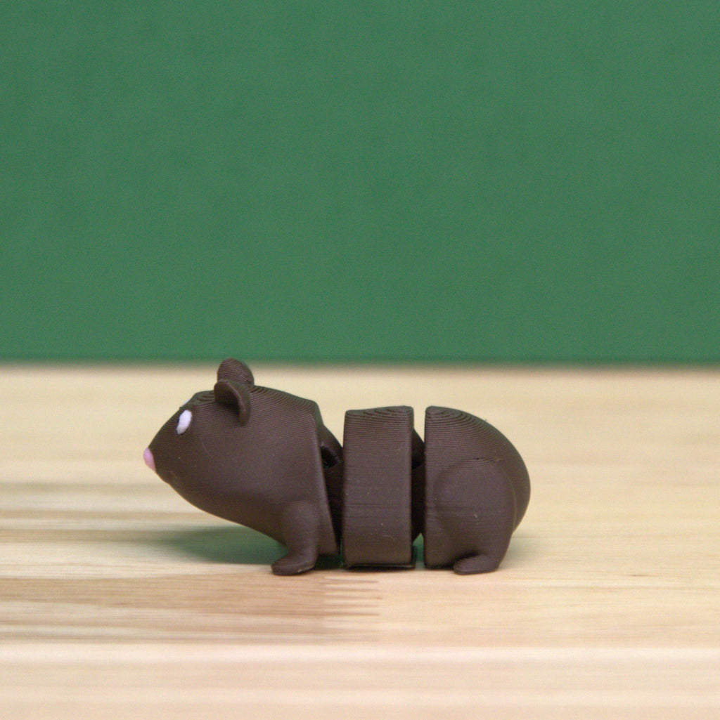 Guinea Pig