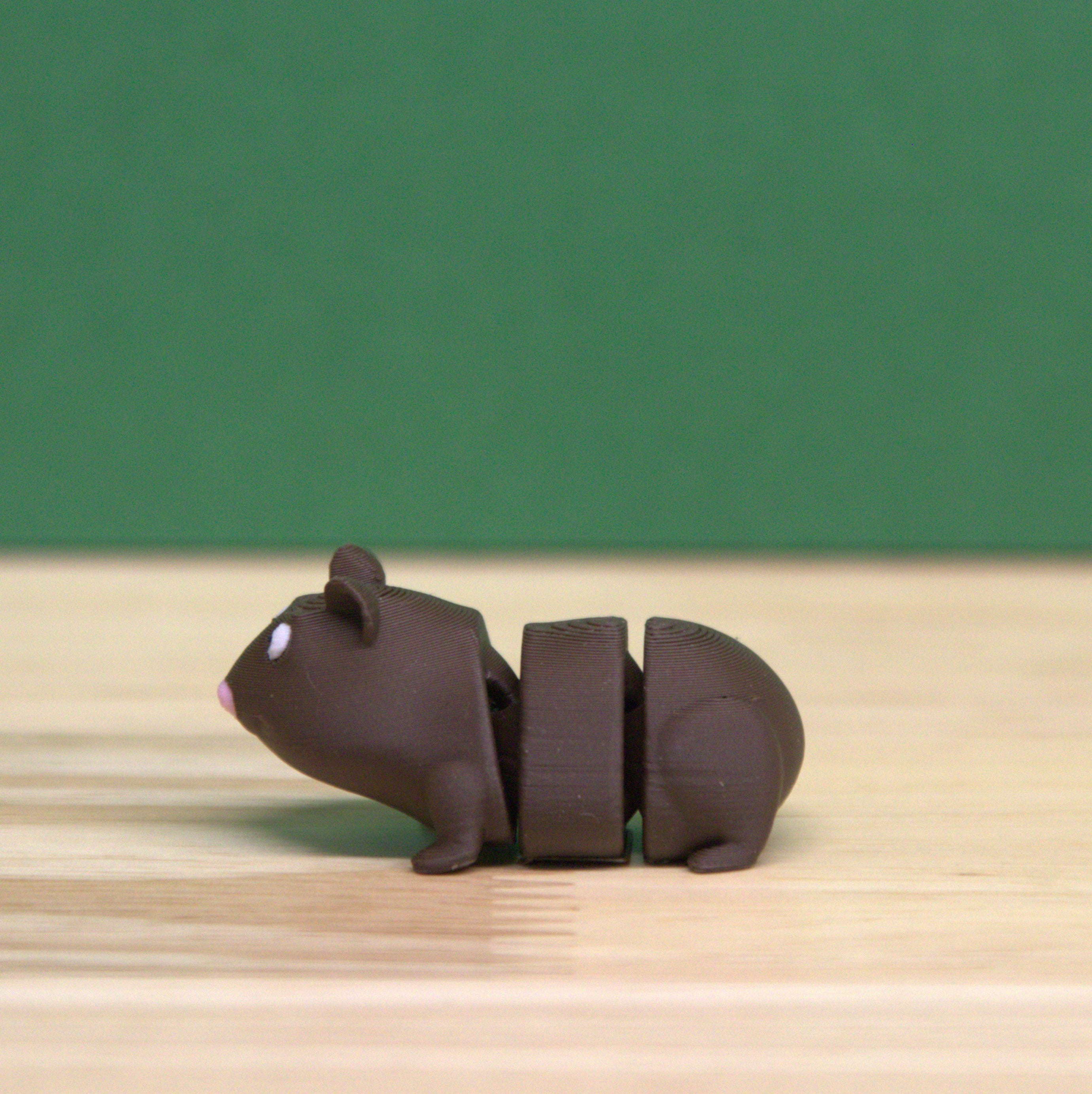 Guinea Pig