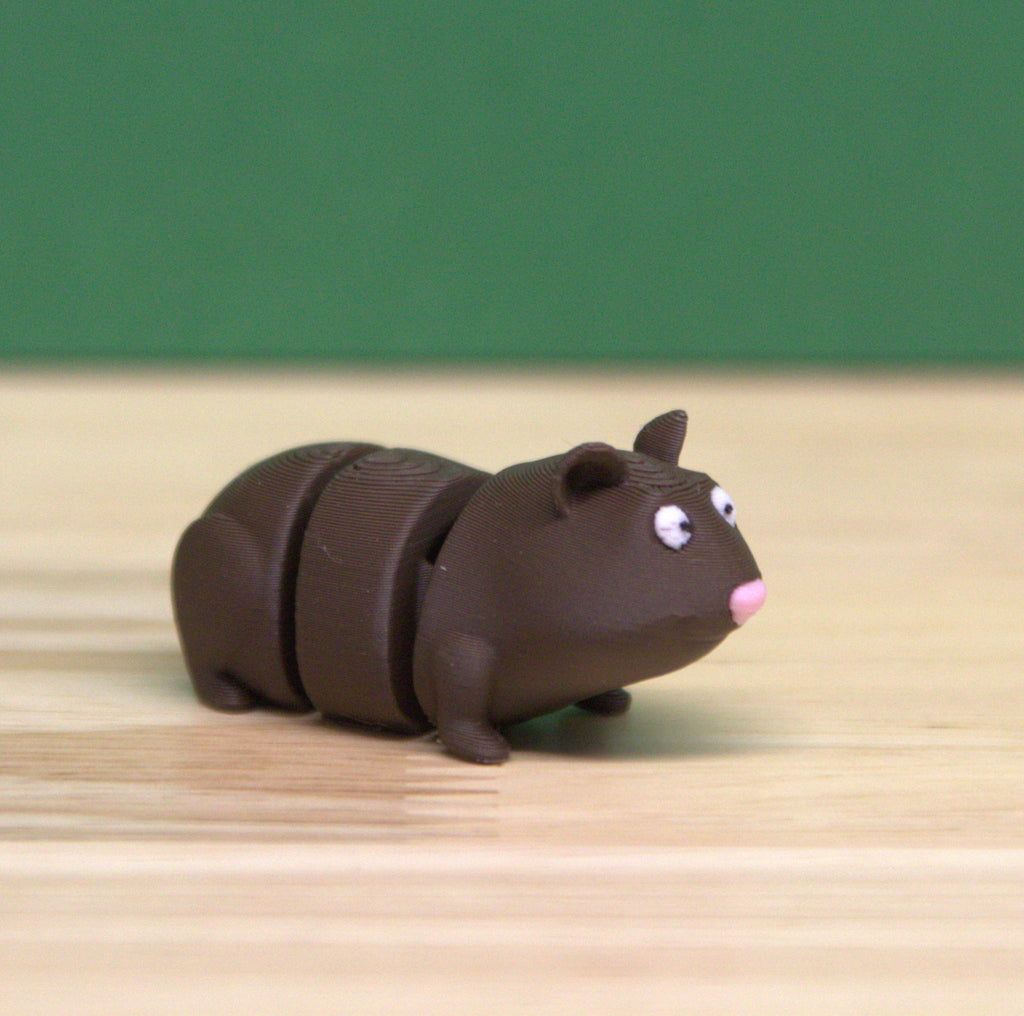 Guinea Pig