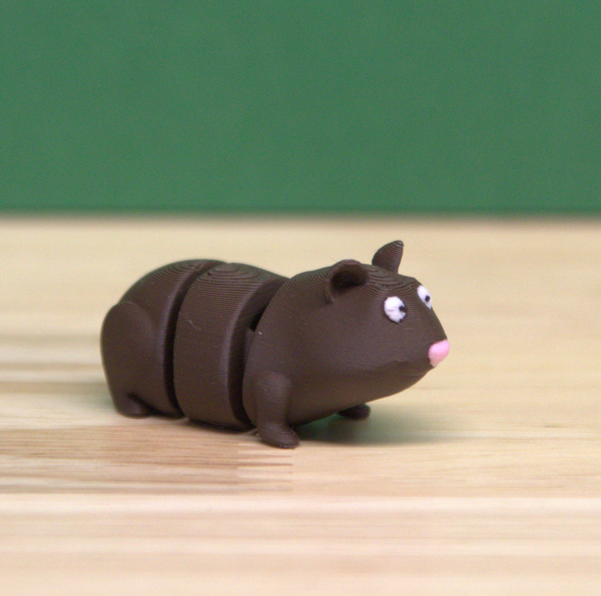 Guinea Pig