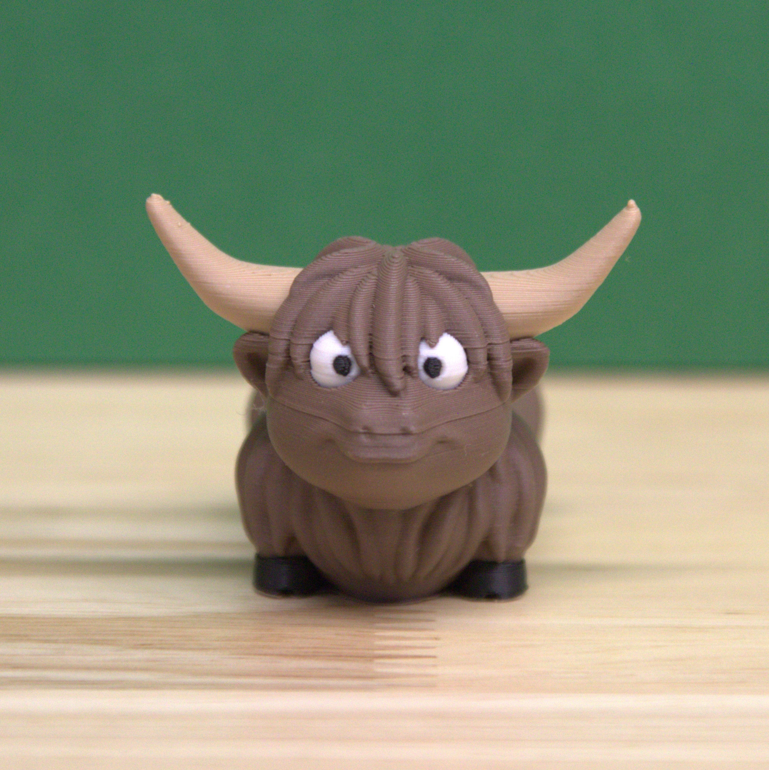 Highland Cow