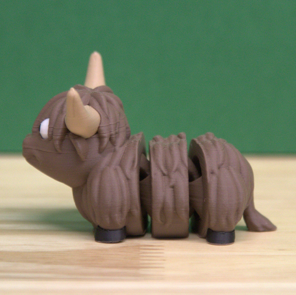 Highland Cow