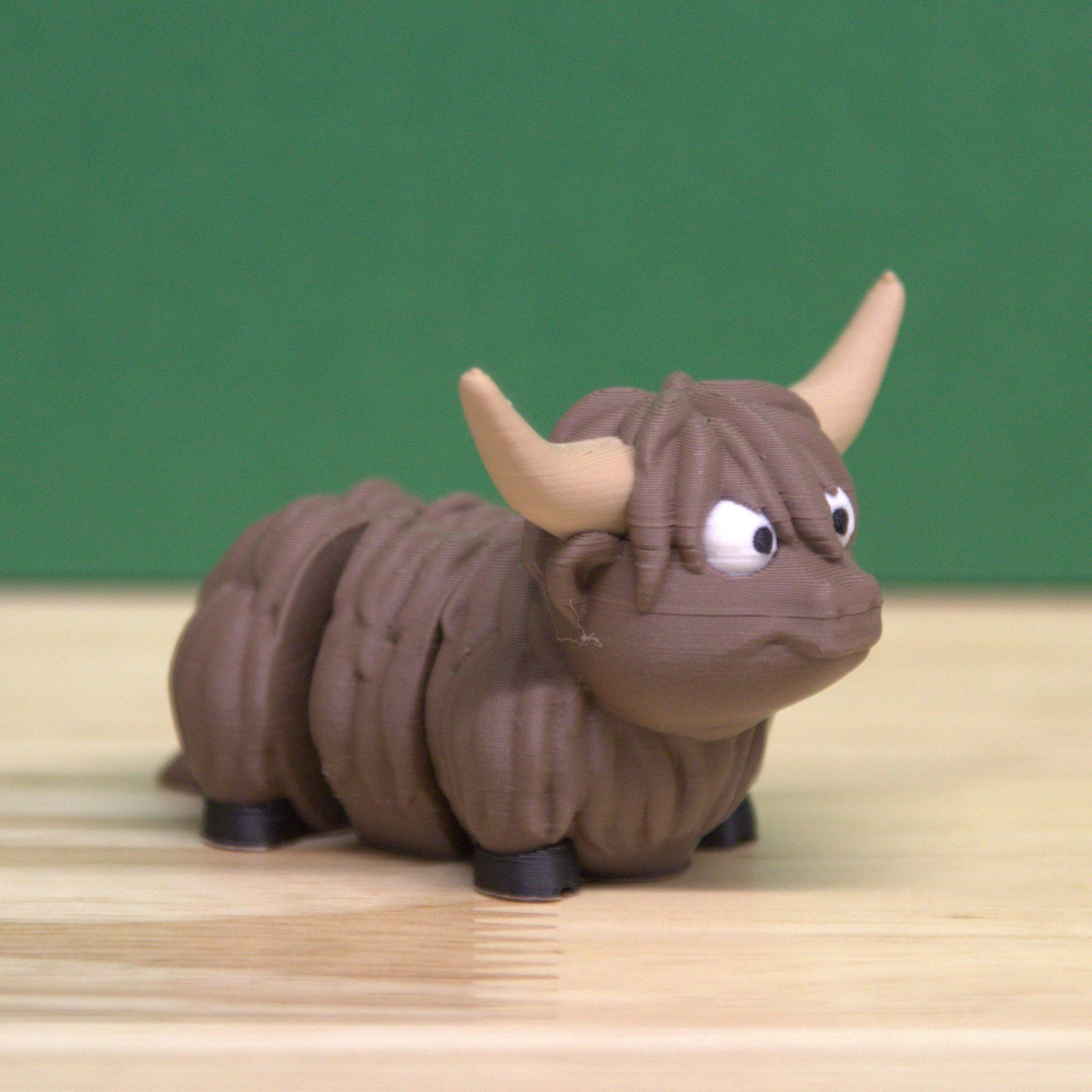 Highland Cow