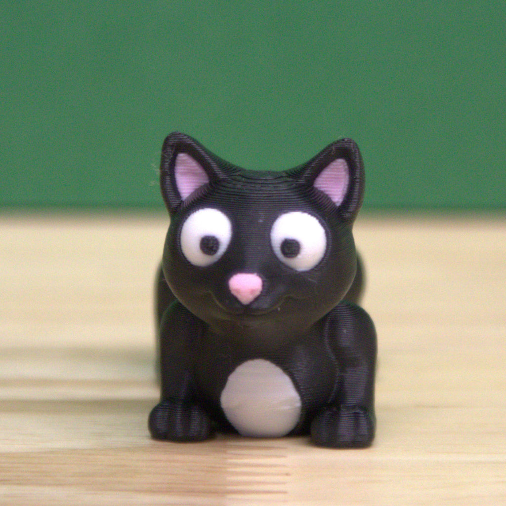 Itty Bitty Kitty