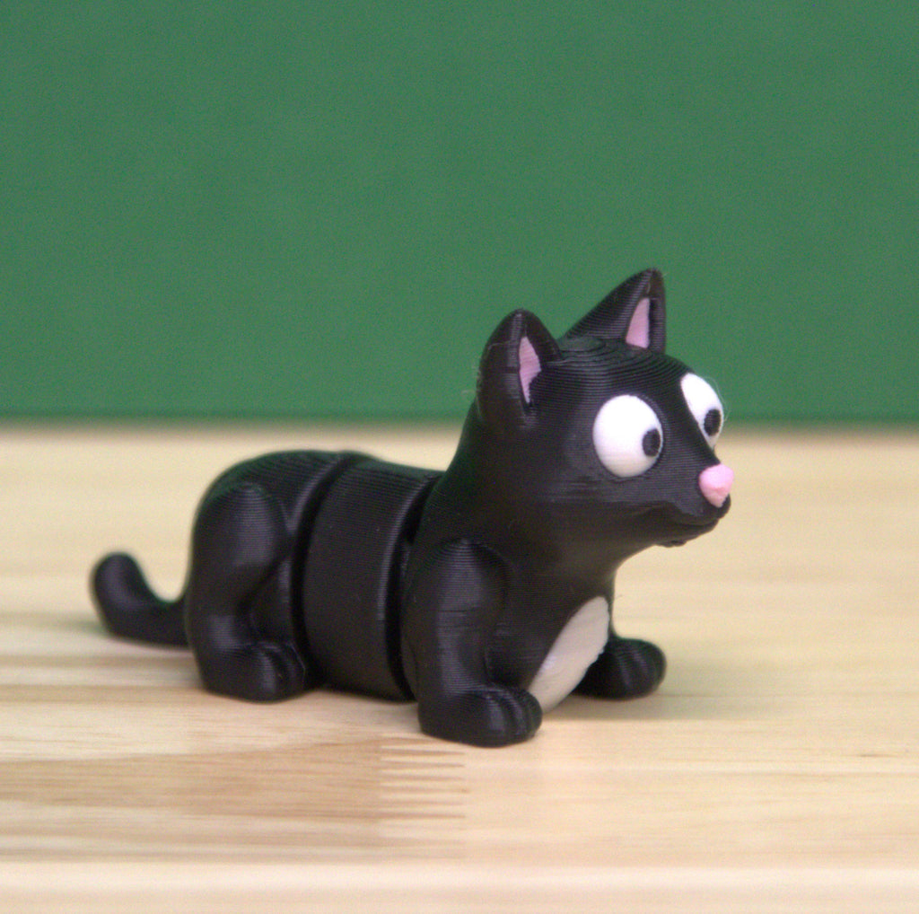 Itty Bitty Kitty