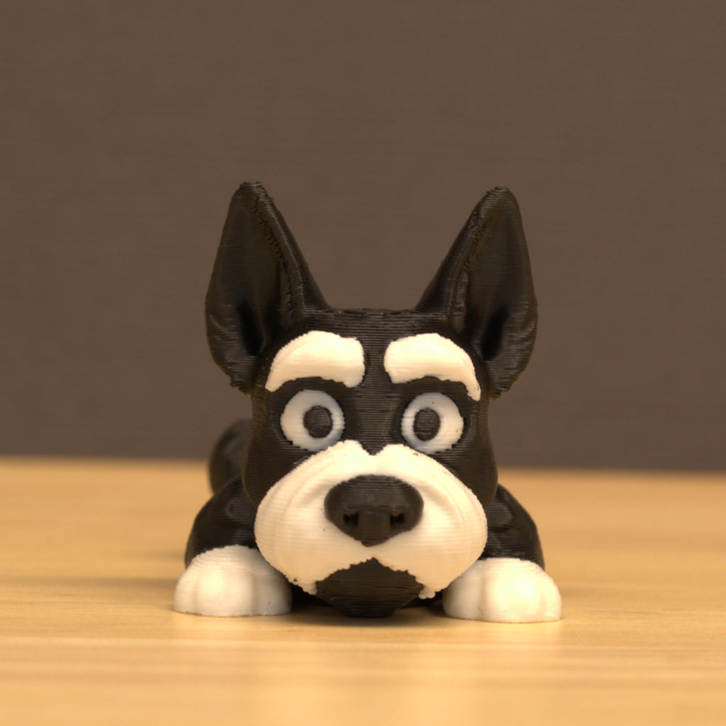 Miniature Schnauzer