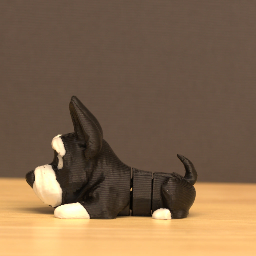 Miniature Schnauzer