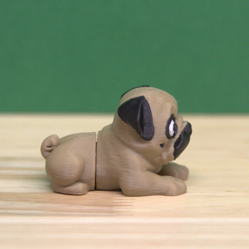 Pugs