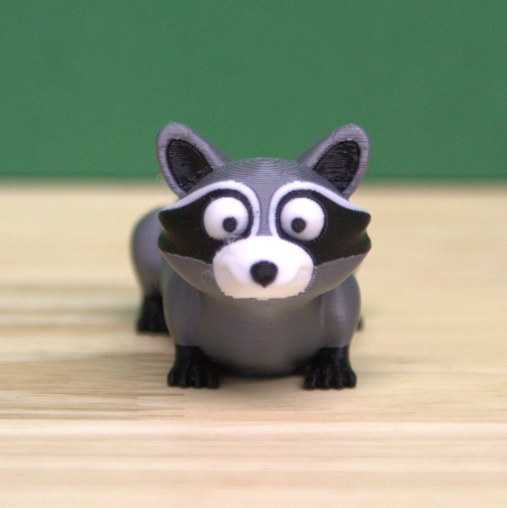 Raccoon