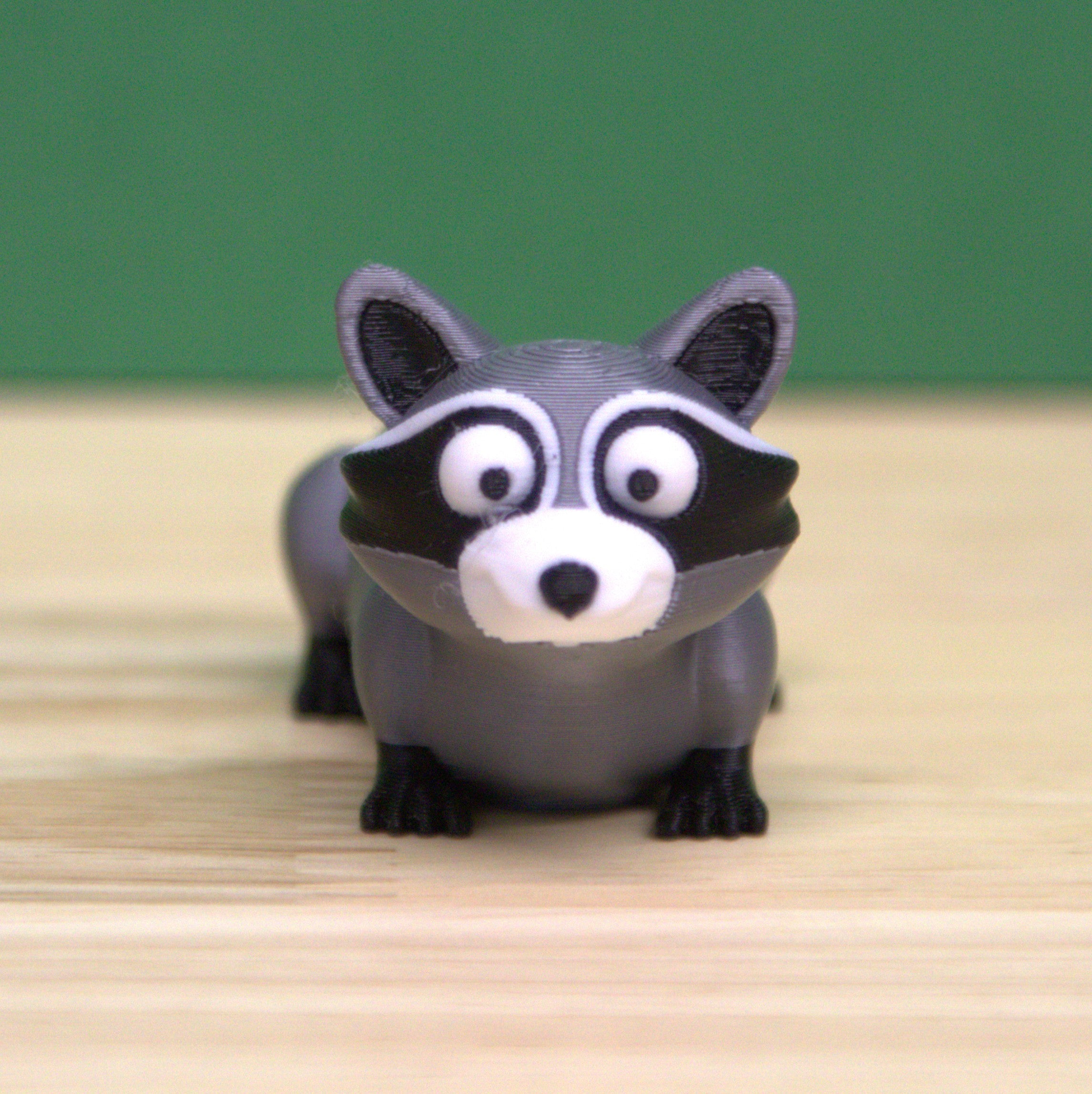 Raccoon