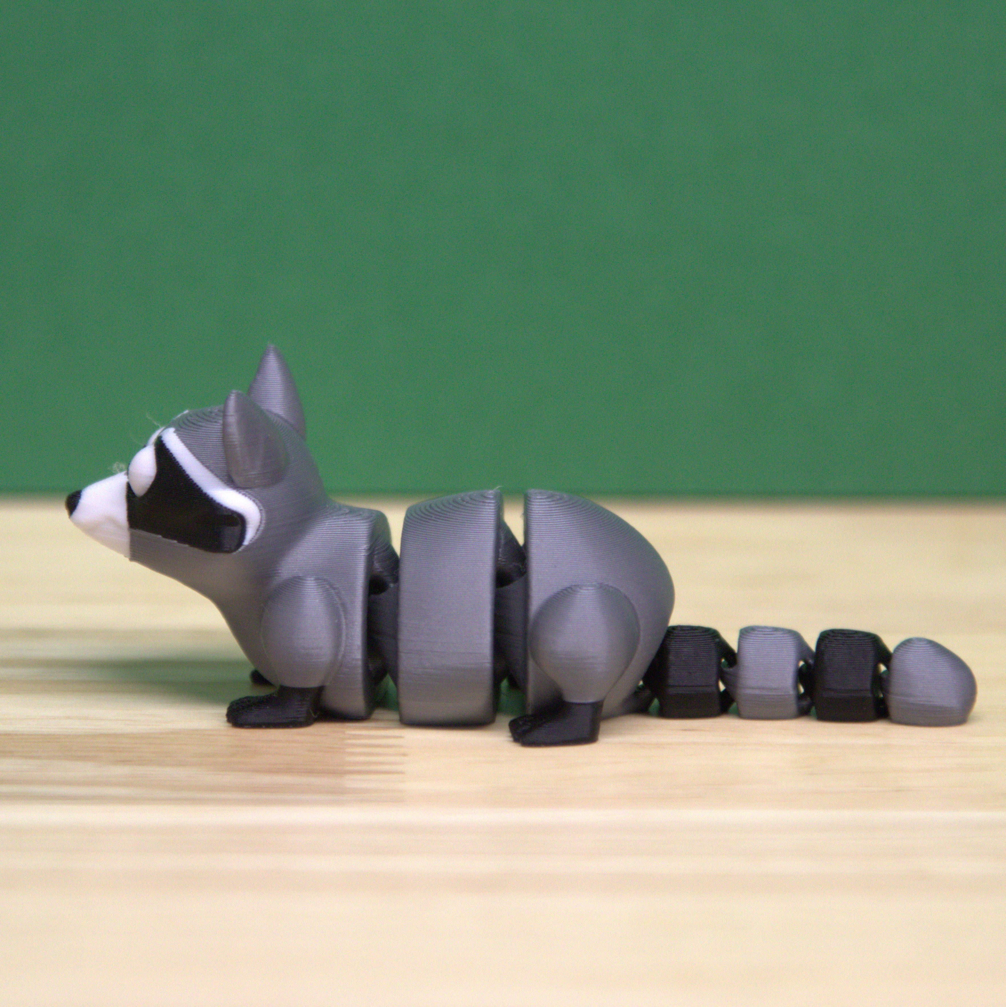 Raccoon