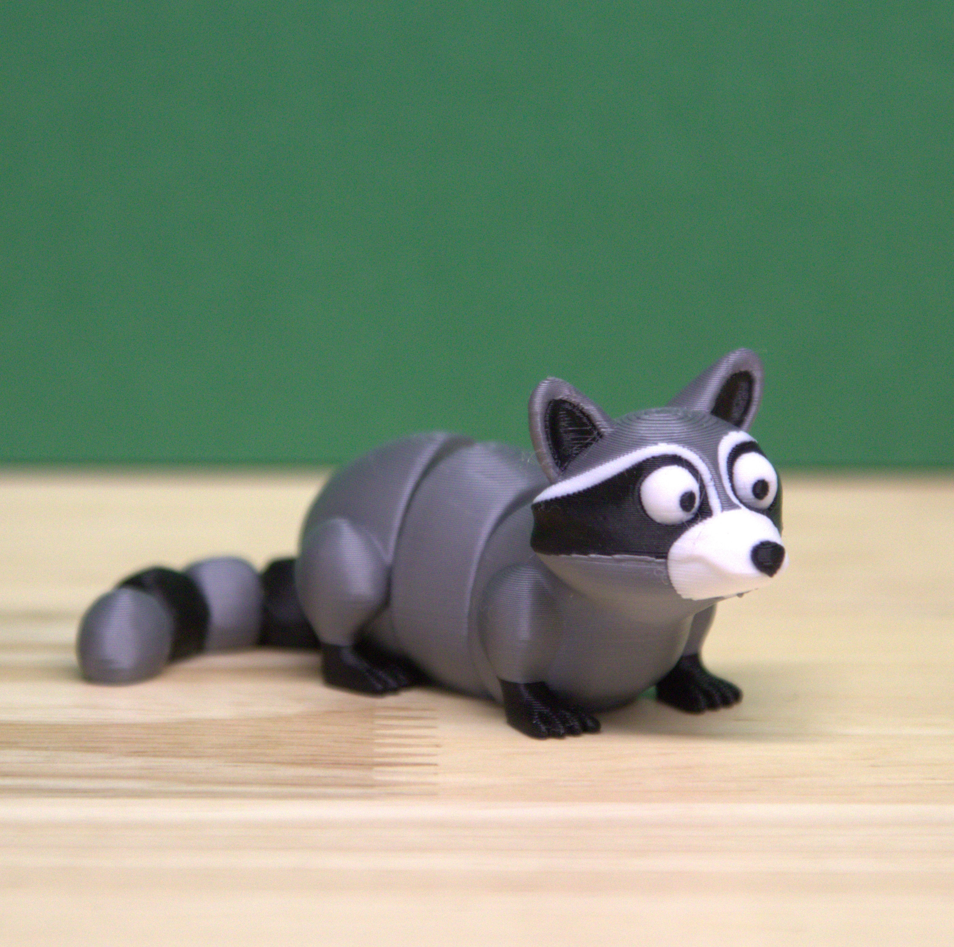 Raccoon
