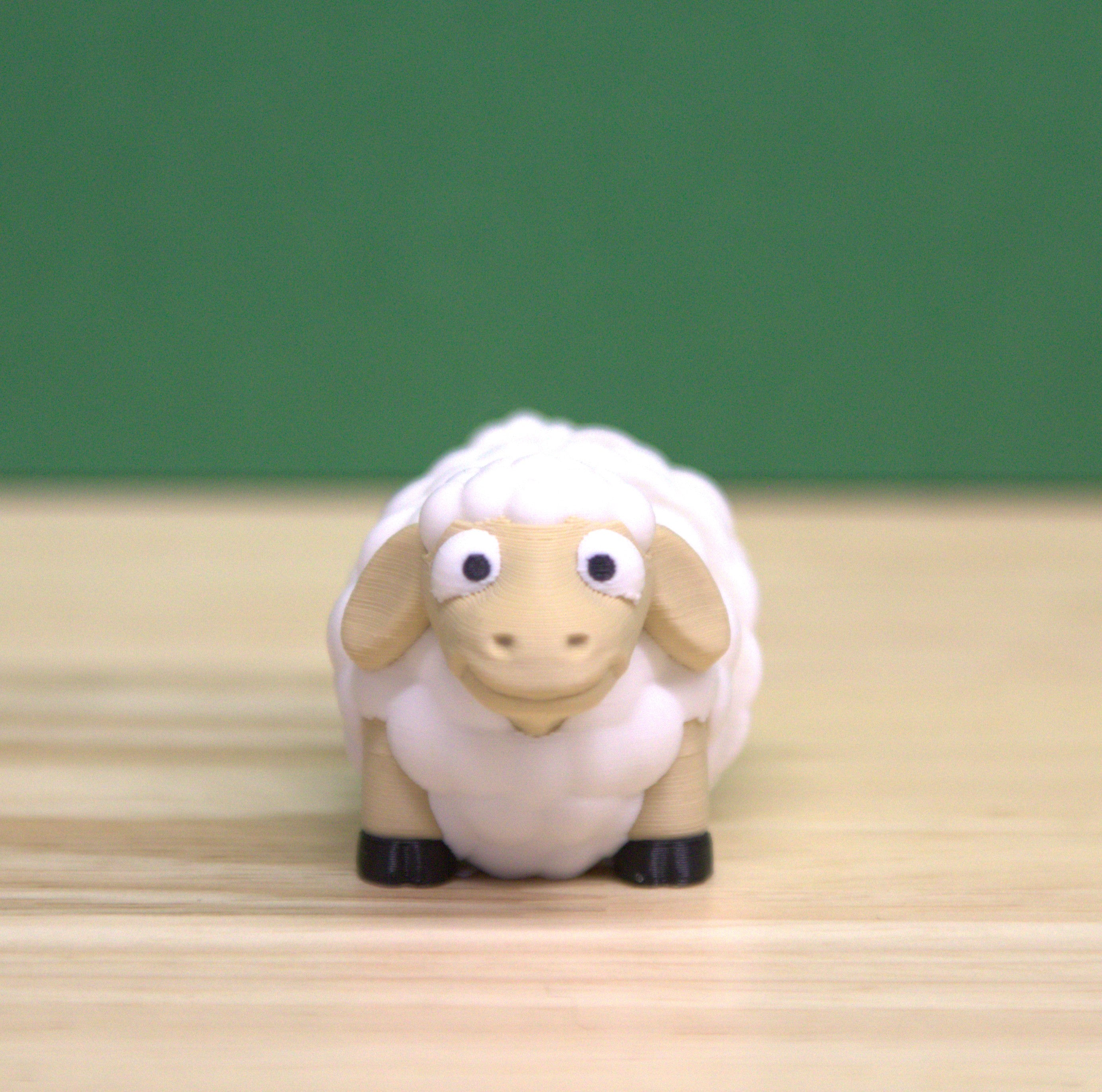 Sheep