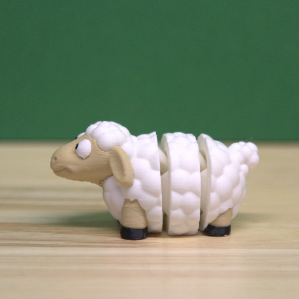 Sheep