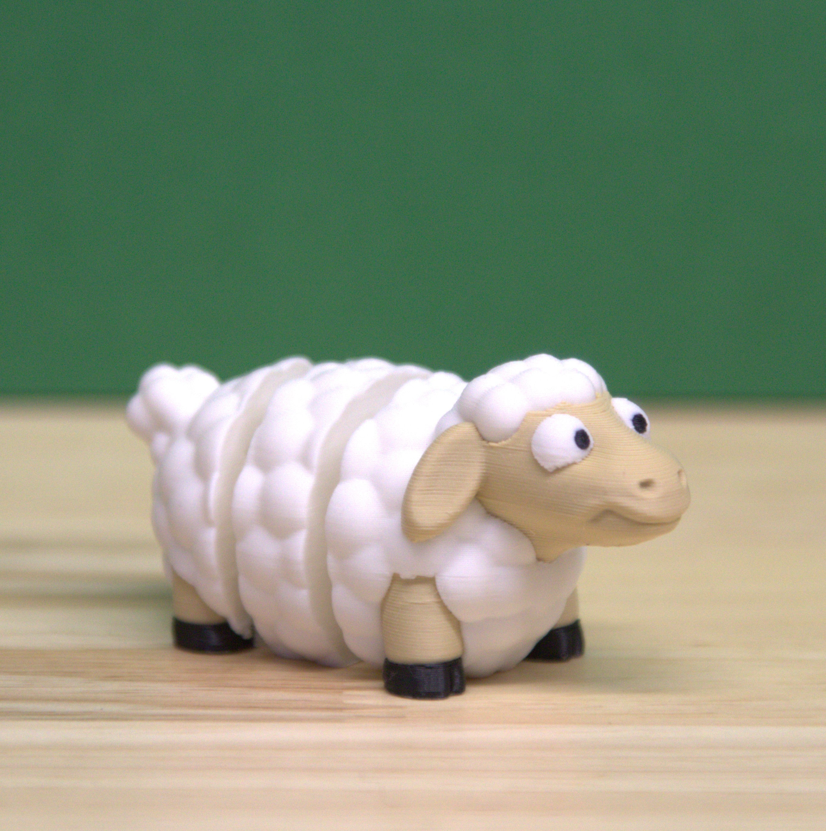 Sheep