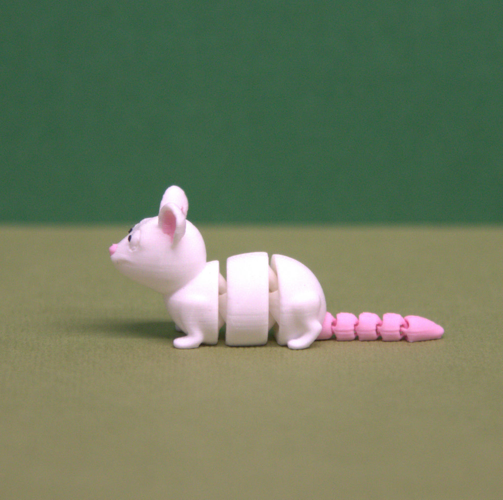 Rat