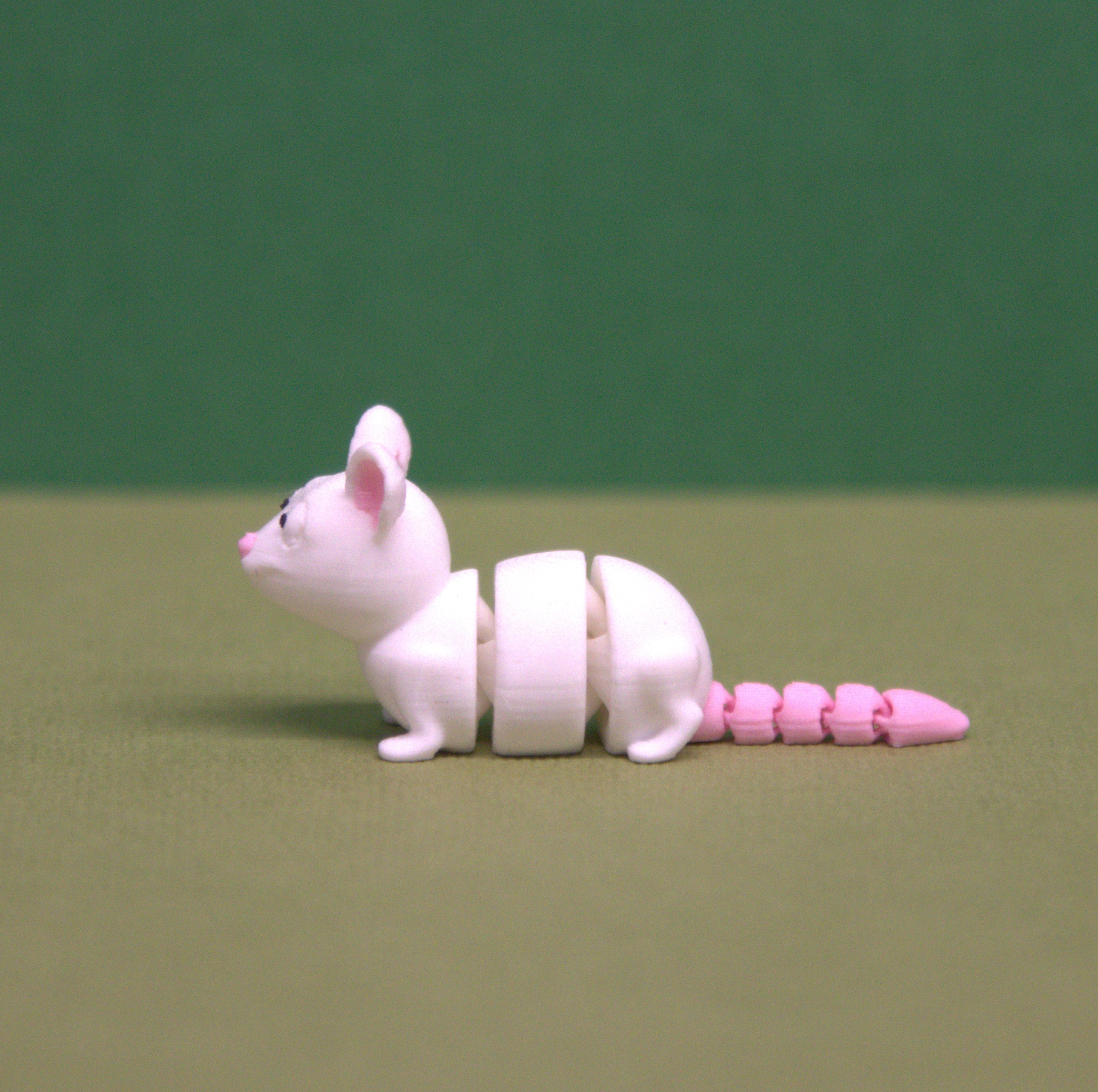 Rat