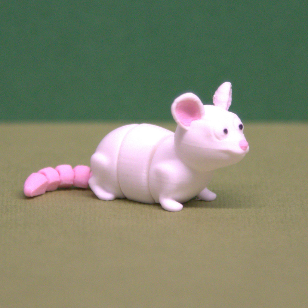 Rat